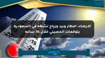 الأرصاد: أمطار وبرد ورياح نشطة في السعودية بتوقعات الحصيني خلال 36 ساعة